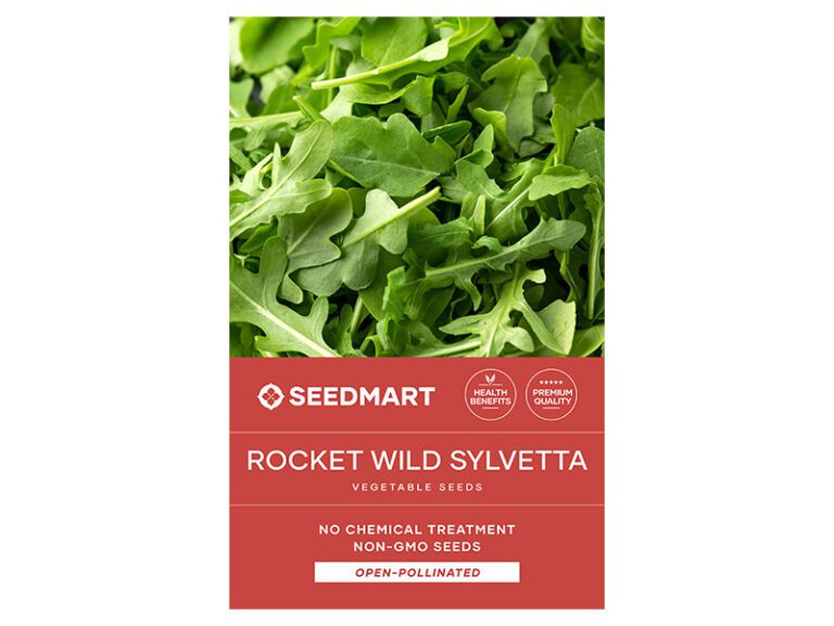 Rocket Vegetable Seeds NonGMO & No Chemical Treatment