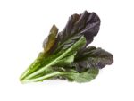Mustard Purple Leaf Vegetable Seeds