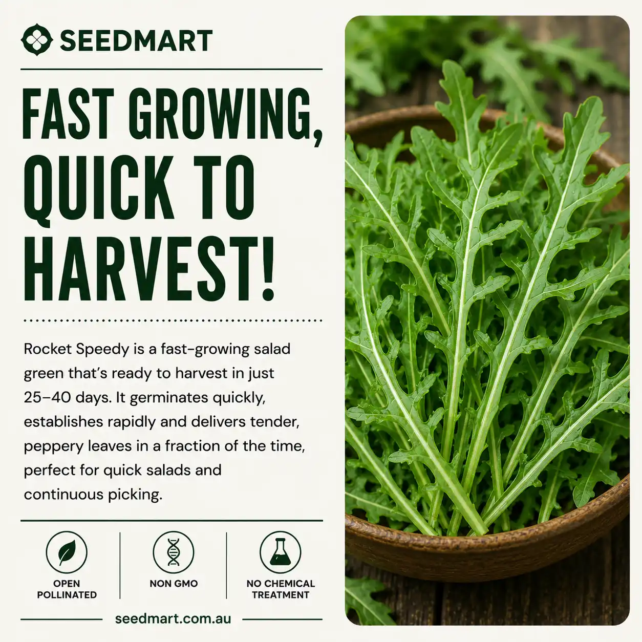 rocket-speedy-harvest-seedmart-australia