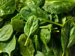 Spinach Baby Leaf