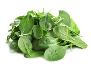 Spinach Baby Leaf Vegetable Seeds | Seedmart Australia