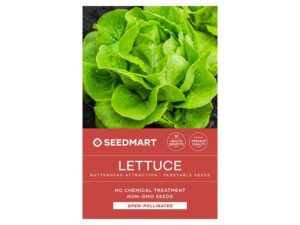 Lettuce Butterhead Attraction Seeds | Seedmart