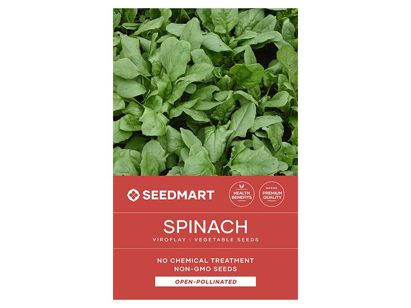 Spinach Viroflay Vegetable Seeds | Seedmart