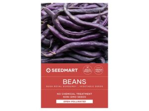 Beans Royal Burgundy Vegetable Seeds | Seedmart