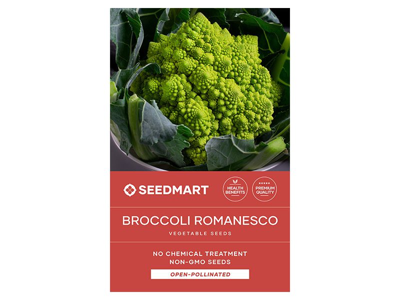 Broccoli Romanesco Vegetable Seeds | Seedmart