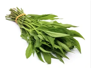 Bundle of fresh green basil tied with a rubber band on a white background