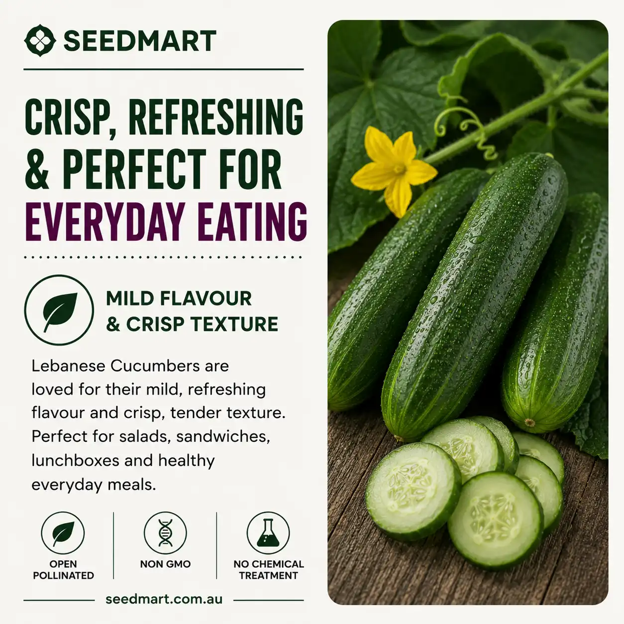 cucumber-lebanese-flavour-seedmart-australia