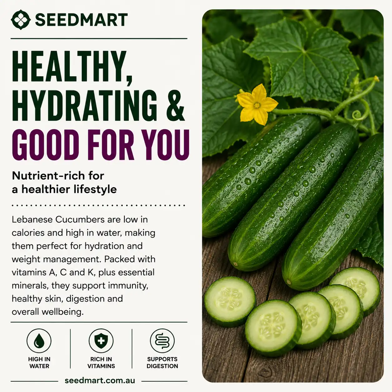 cucumber-lebanese-health-seedmart-australia
