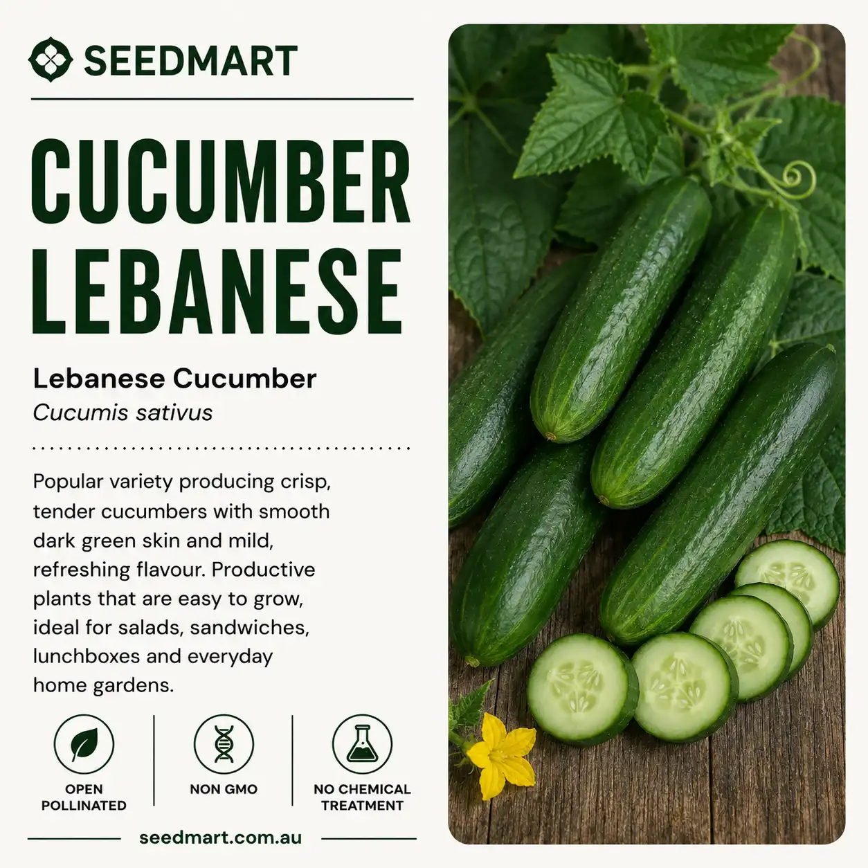 cucumber-lebanese-seedmart-australia-1