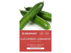 Cucumber Lebanese Vegetable Seed Packet | Seedmart