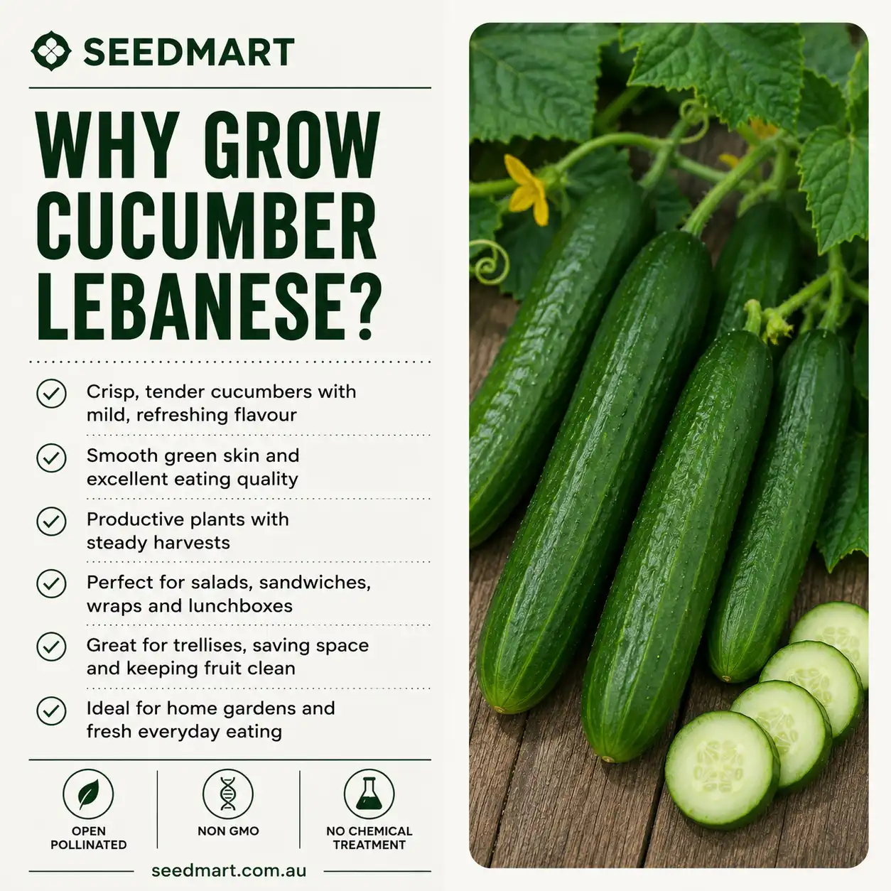 why-grow-cucumber-lebanese-seedmart-australia