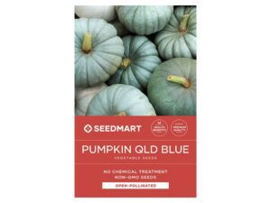 Pumpkin Queensland Blue Vegetable Seeds | Seedmart