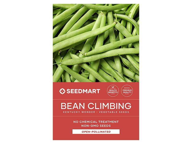Bean Climbing Kentucky Wonder Vegetable Seeds | Seedmart