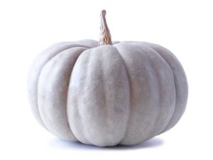 Pumpkin QLD Blue Vegetable Seeds | Heirloom Variety