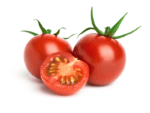 Tomato Camp Joy Isolated