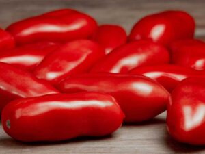 Tomato San Marzano