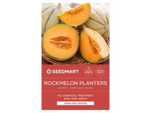 Rockmelon Planters Jumbo Seeds Treated | Seedmart