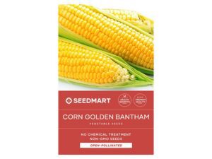 Corn Golden Bantam Seeds | Seedmart