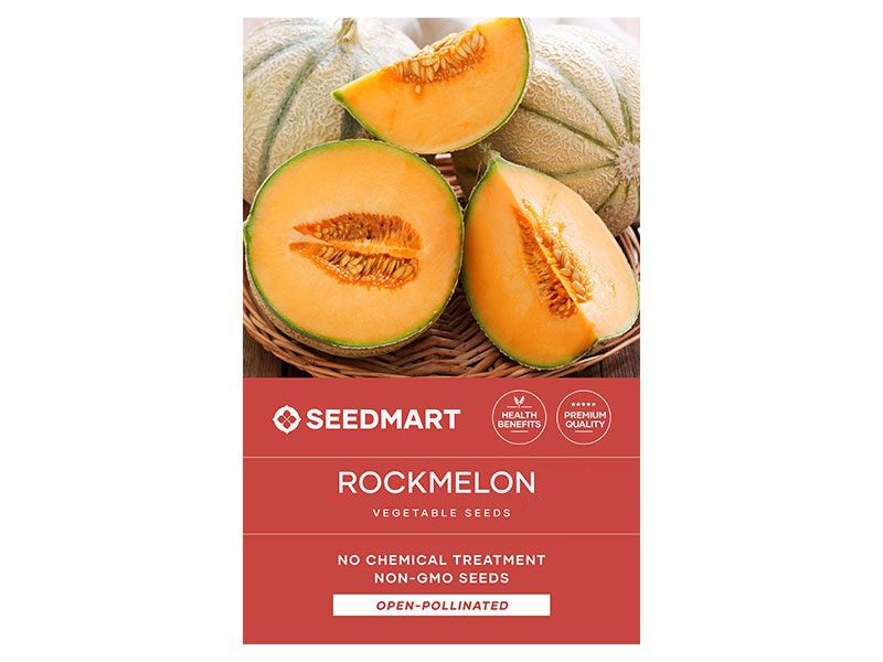 Rockmelon Hales Best Seeds | Heirloom & Bulk