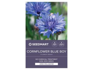 Cornflower Blue Boy Flower Seeds