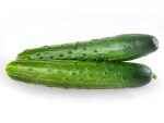 Cucumber spacemaster vegetable seeds | Seedmast Australia