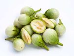 Eggplant Thai Round Green Seeds | Seedmart