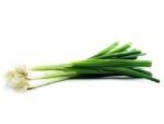 Green Bunching Onion | Seedmart Australia