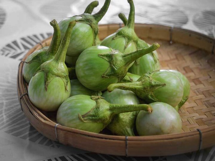 Thai Eggplant Vegetable Seeds
