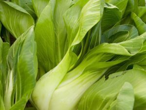 Bok Choy