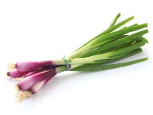 Red Bunching Onions | Seedmart Australia