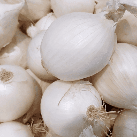 Onion Archives Seedmart Australia