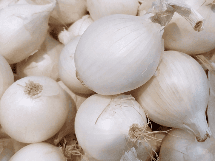 Spanish White Onion