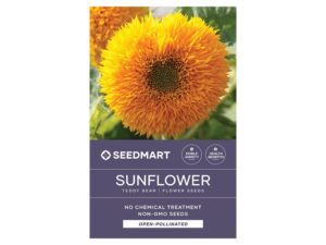 Sunflower Teddy Bear Flower Seed Packet | Seedmart Australia