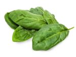 Spinach Winter Giant Vegetable Seeds | Seedmart Australia