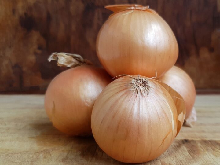 Onion Gladalan Brown Seeds