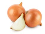 Onion Gladalan Brown Vegetable | Seedmart Australia