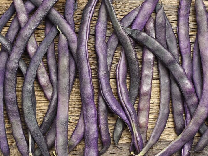 beans purple king