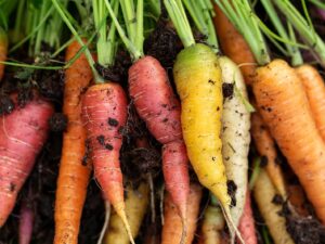 Carrot Rainbow Vegetable Seeds | Seedmart Australia