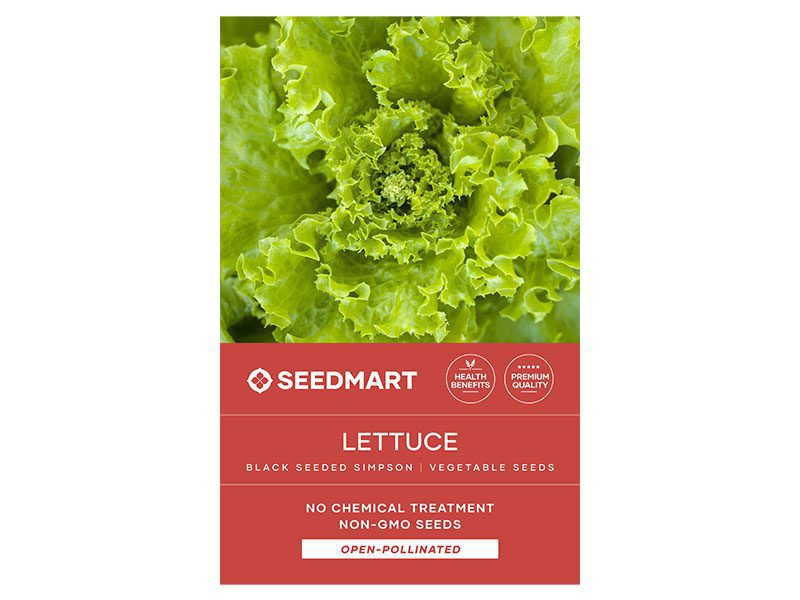 Black Seeded Simpson Lettuce Seeds | Seedmart