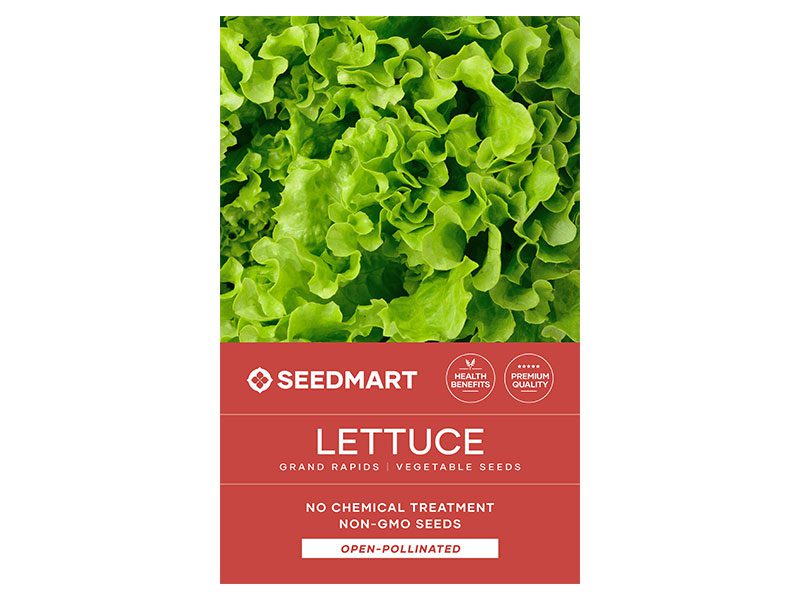 Lettuce Grand Rapids Seeds | Seedmart