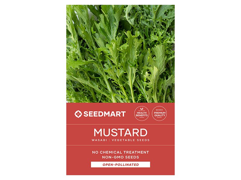 Mustard Wasabi Vegetable Seeds | Seedmart
