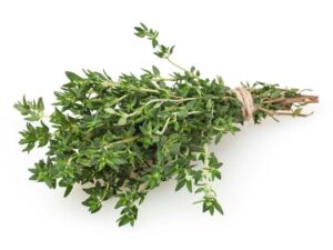 Thyme Herb | Isolated