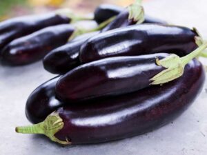 Eggplant Long Purple