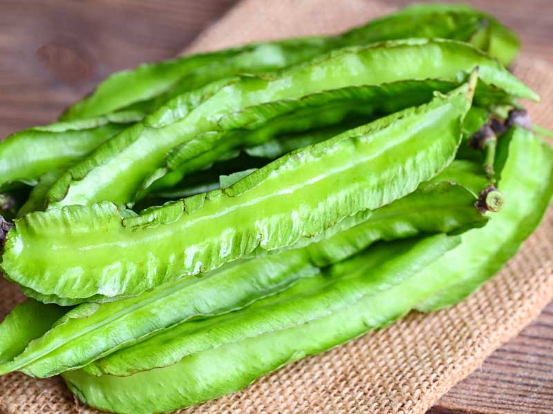 winged-bean-seeds-non-gmo-buy-in-bulk-and-save