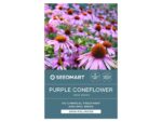 Echinacea Purple Coneflower Herb Seed Packet | Seedmart Australia