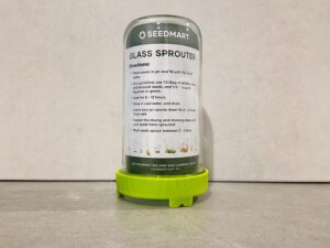 Glass Sprouting Jar Seedmart