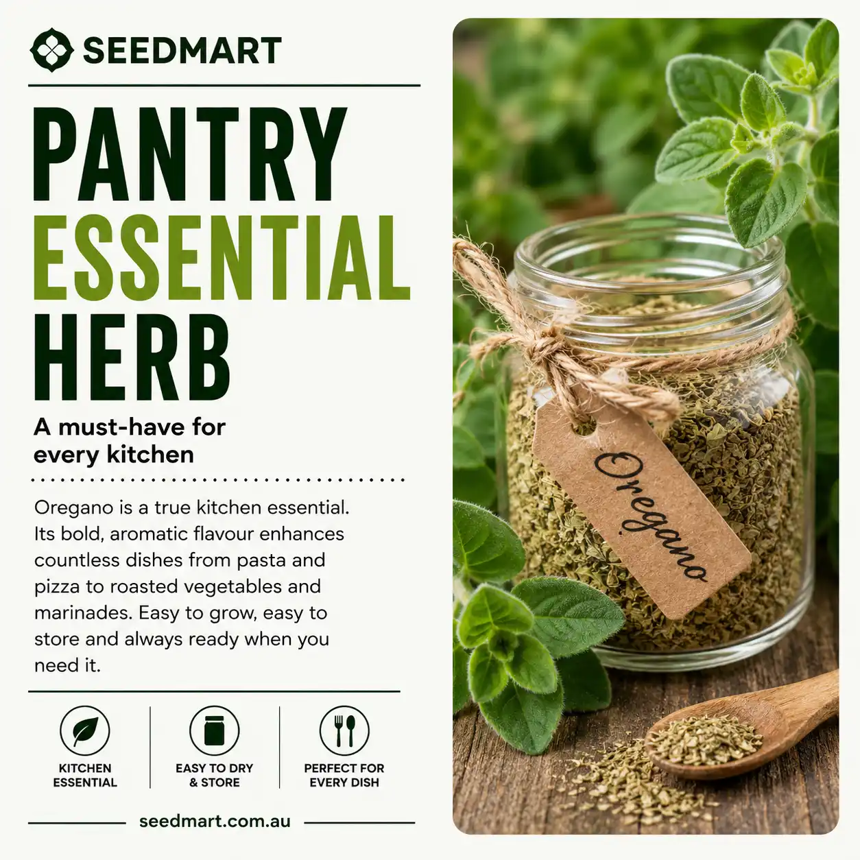 oregano-herb-seeds-pantry-seedmart-australia