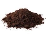 Peat Moss Isolated