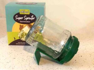 Glass Sprouting Jar Untamed Health