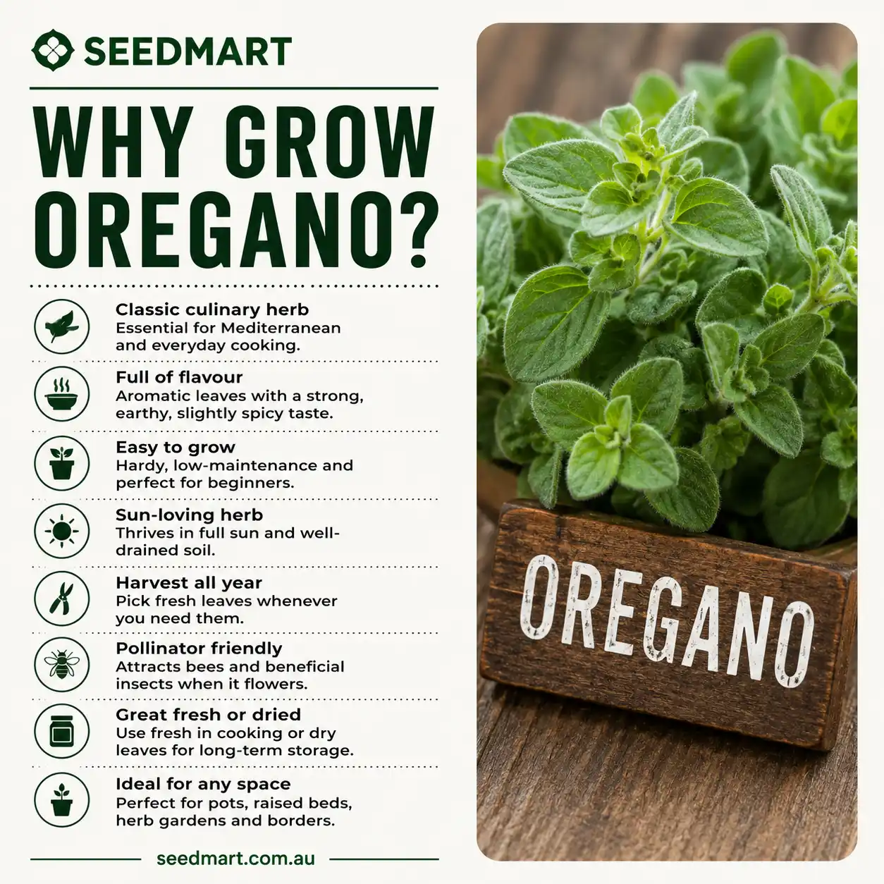 why-grow-oregano-herb-seeds-seedmart-australia